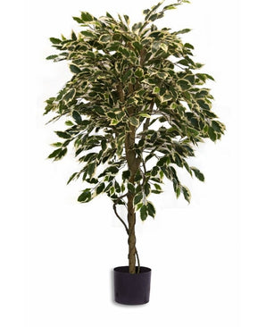 Plante artificielle Ficus Fur 150 cm