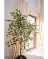 Plante artificielle Ficus Fur 150 cm