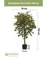 Plante artificielle Ficus Fur 150 cm