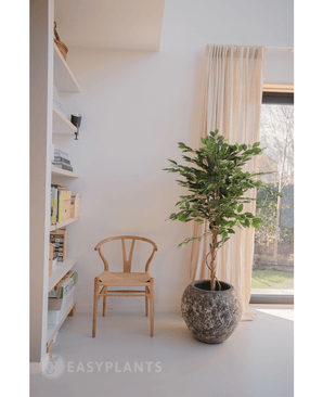 Plante artificielle Ficus Green 150 cm