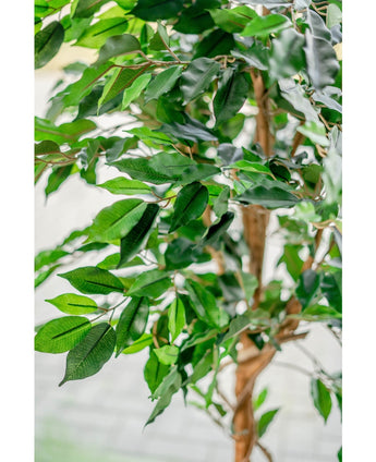 Plante artificielle Ficus Green 150 cm