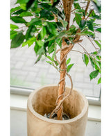 Plante artificielle Ficus Green 150 cm