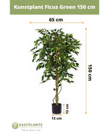 Plante artificielle Ficus Green 150 cm