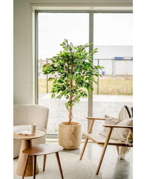 Plante artificielle Ficus Green 180 cm