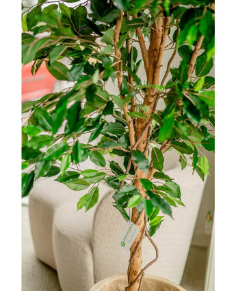 Plante artificielle Ficus Green 180 cm