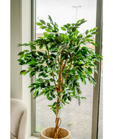 Plante artificielle Ficus Green 180 cm