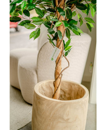 Plante artificielle Ficus Green 180 cm