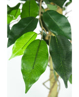 Plante artificielle Ficus Green 90 cm