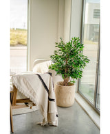 Plante artificielle Ficus Liana 120 cm