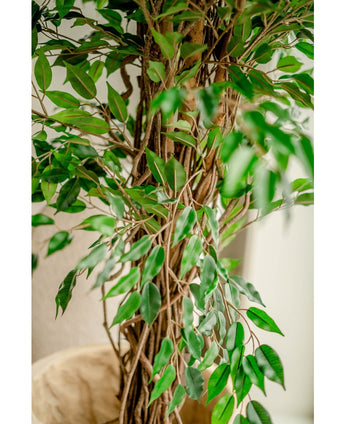 Plante artificielle Ficus Liana 180 cm