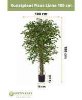 Plante artificielle Ficus Liana 180 cm