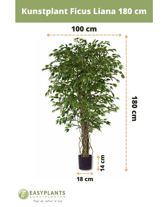 Plante artificielle Ficus Liana 180 cm