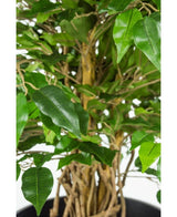 Plante artificielle Ficus Liana 90 cm