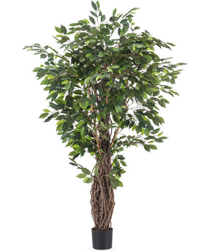 Plante artificielle Ficus Tropical Liana 180 cm