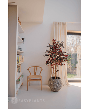 Plante artificielle Ficus vert/rouge 150 cm