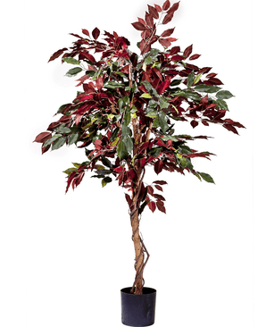 Plante artificielle Ficus vert/rouge 150 cm