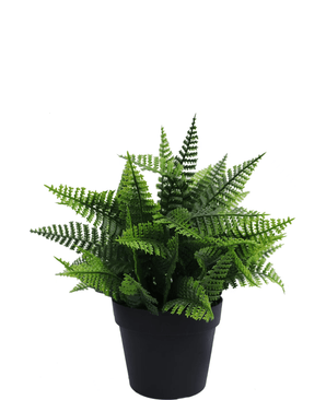 Plante artificielle Fougère en pot 23 cm UV