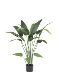 Plante artificielle Heliconia 110 cm