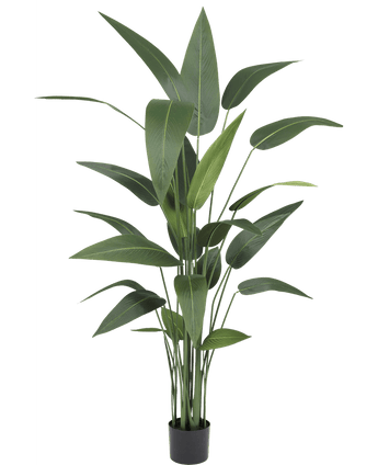 Plante artificielle Heliconia 170 cm