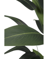 Plante artificielle Heliconia 170 cm