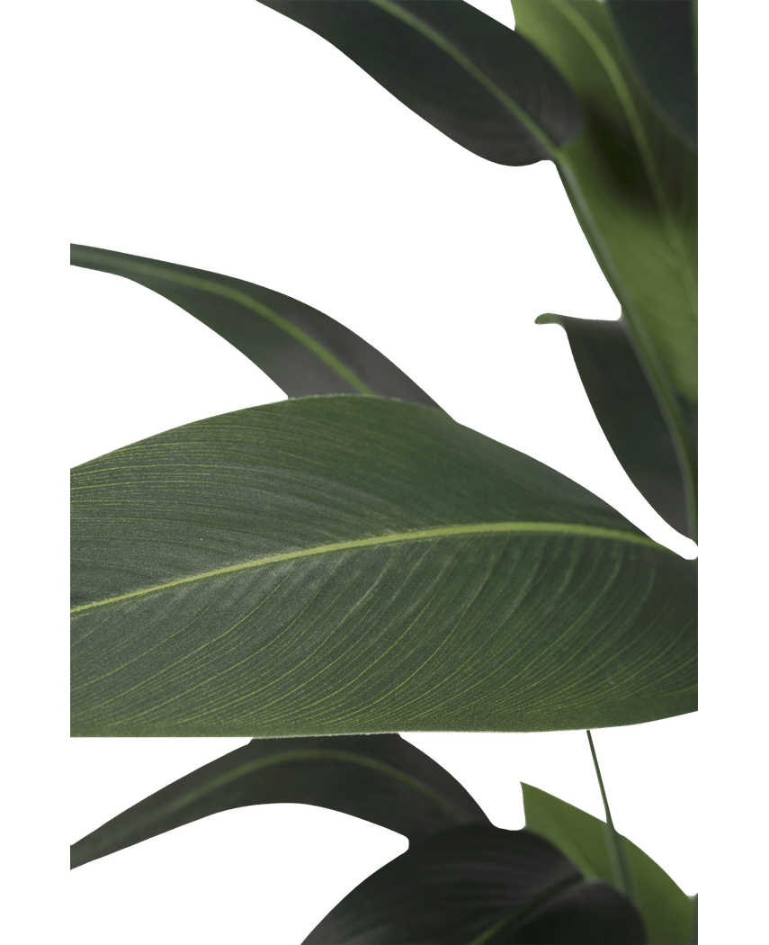 Plante artificielle Heliconia 170 cm