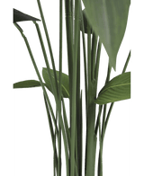 Plante artificielle Heliconia 170 cm