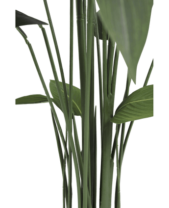 Plante artificielle Heliconia 170 cm