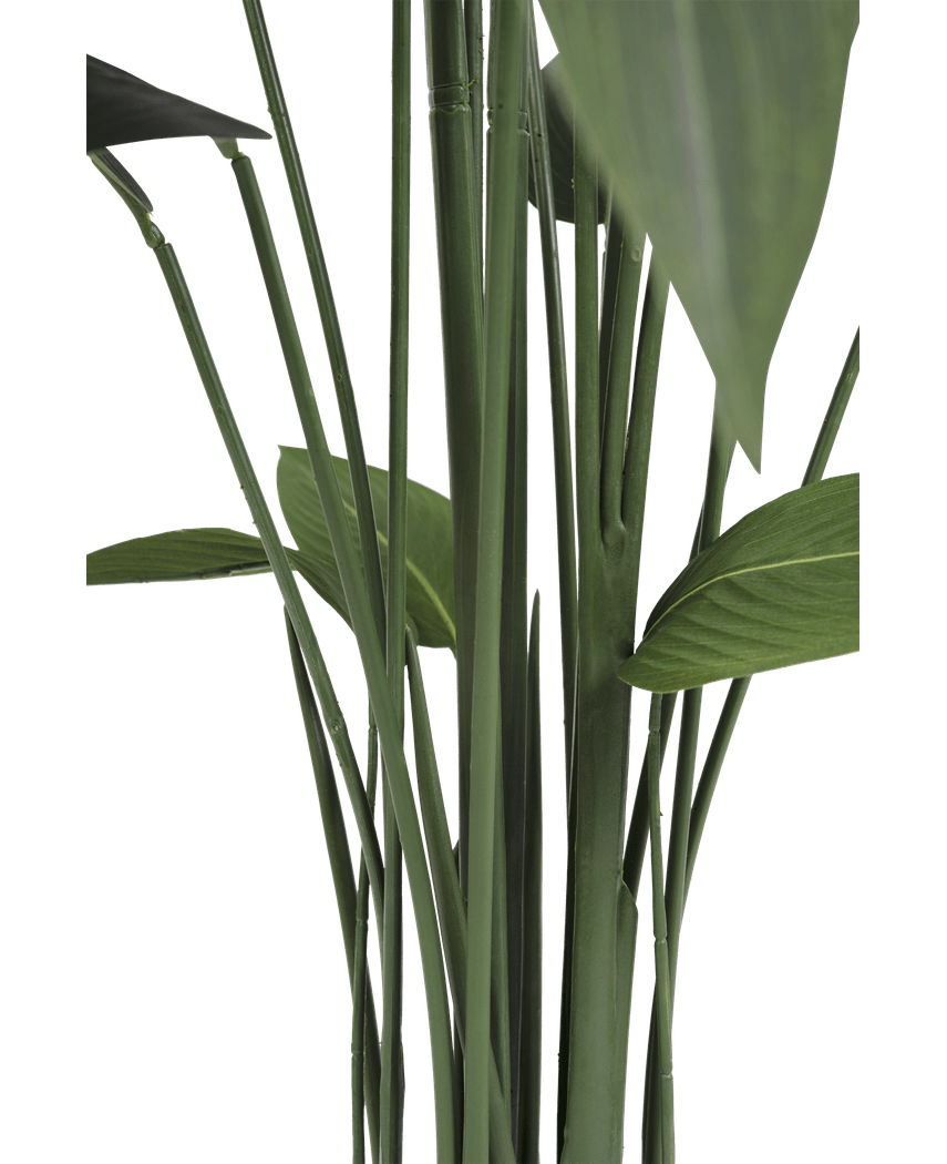 Plante artificielle Heliconia 170 cm