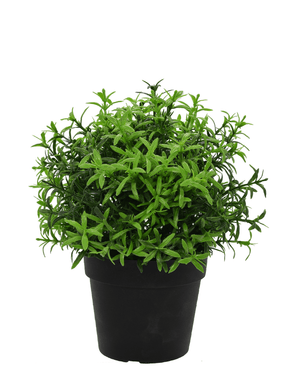 Plante artificielle Herbes en pot 21 cm UV