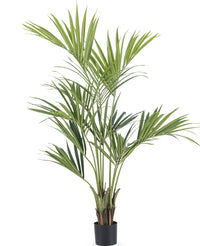 Plante artificielle Kentia Palm 150 cm ignifugée