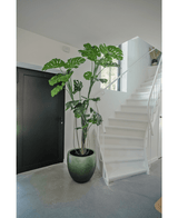 Plante artificielle Monstera 210 cm