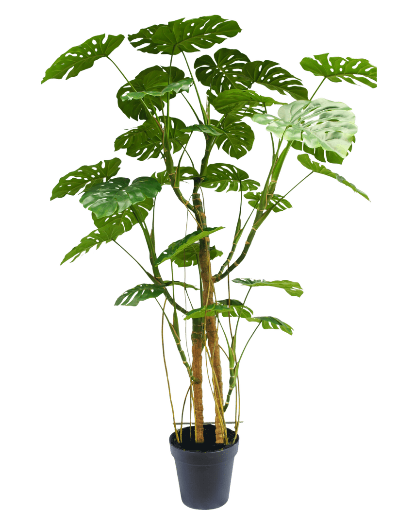 Plante artificielle Monstera 240 cm