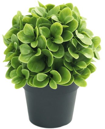 Plante artificielle Murraya 20 cm UV