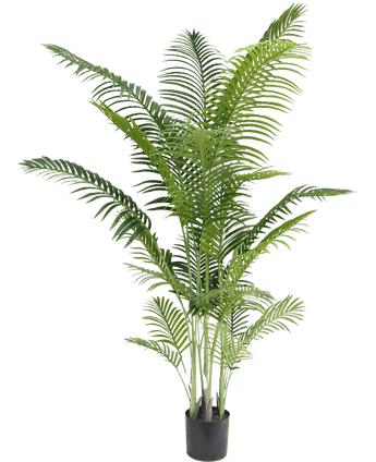 Plante artificielle Phoenix 210 cm