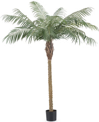 Plante artificielle Phoenix Palm De Luxe 180 cm