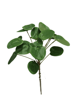 Plante artificielle Pilea Pancake 50 cm