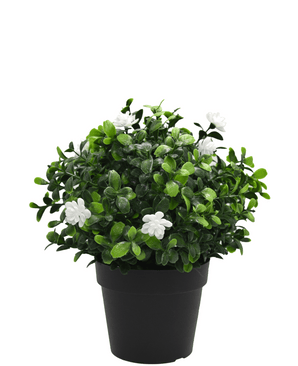 Plante artificielle Pumila en pot 21cm UV