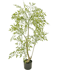 Plante artificielle Ruscus 120 cm