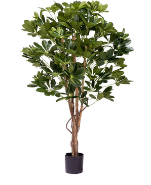 Plante artificielle Schefflera 120 cm.