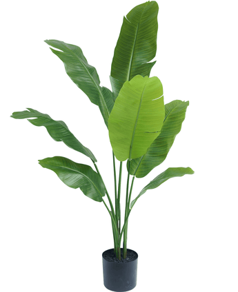 Plante artificielle Strelitzia Nicolai Deluxe 120 cm