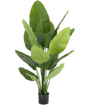 Plante artificielle Strelitzia Real Touch Deluxe 150 cm