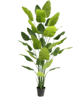 Plante artificielle Strelitzia Real Touch Deluxe 300 cm