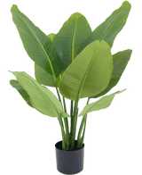 Plante artificielle Strelitzia Real Touch Deluxe 90 cm