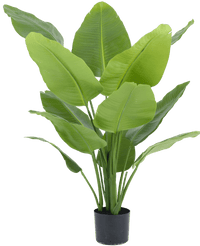 Plante artificielle Strelitzia Real Touch Deluxe 120 cm