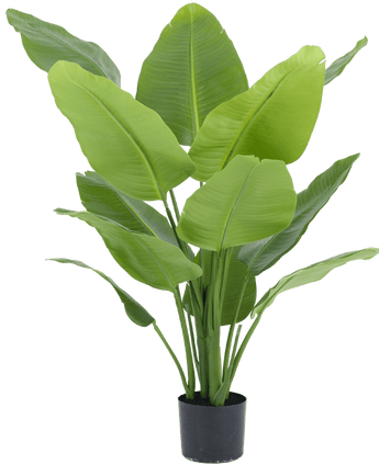 Plante artificielle Strelitzia Real Touch Deluxe 120 cm