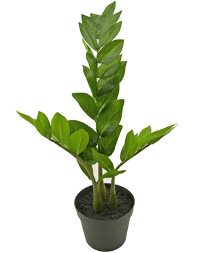 Plante artificielle Zamioculcas 50 cm