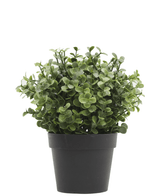 Plante artificielle cyprès vert en pot 19 cm UV