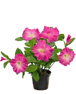 Plante artificielle de pétunia 25 cm rose foncé