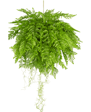 Plante artificielle tombante Fougère avec racines d55 cm avec système de suspension