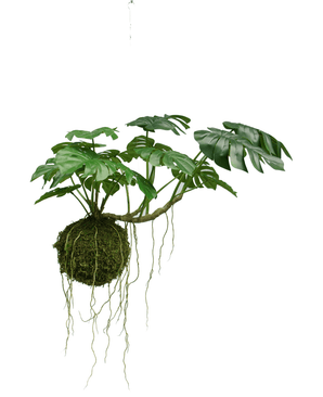 Plante artificielle tombante Monstera Deluxe 60 cm